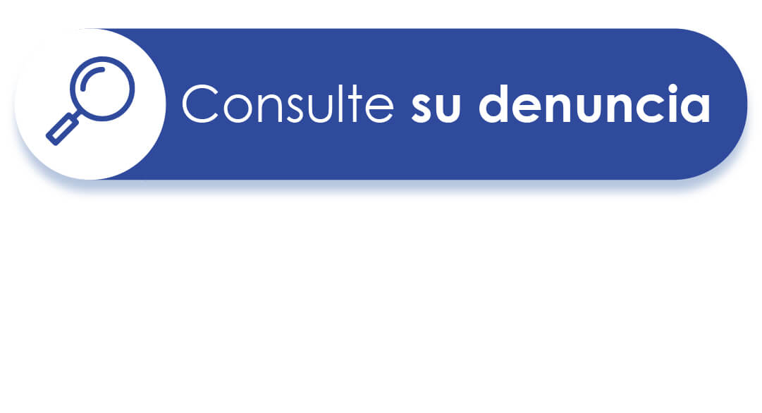 Consulte su denuncia